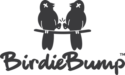 Birdie Bump Golf logo