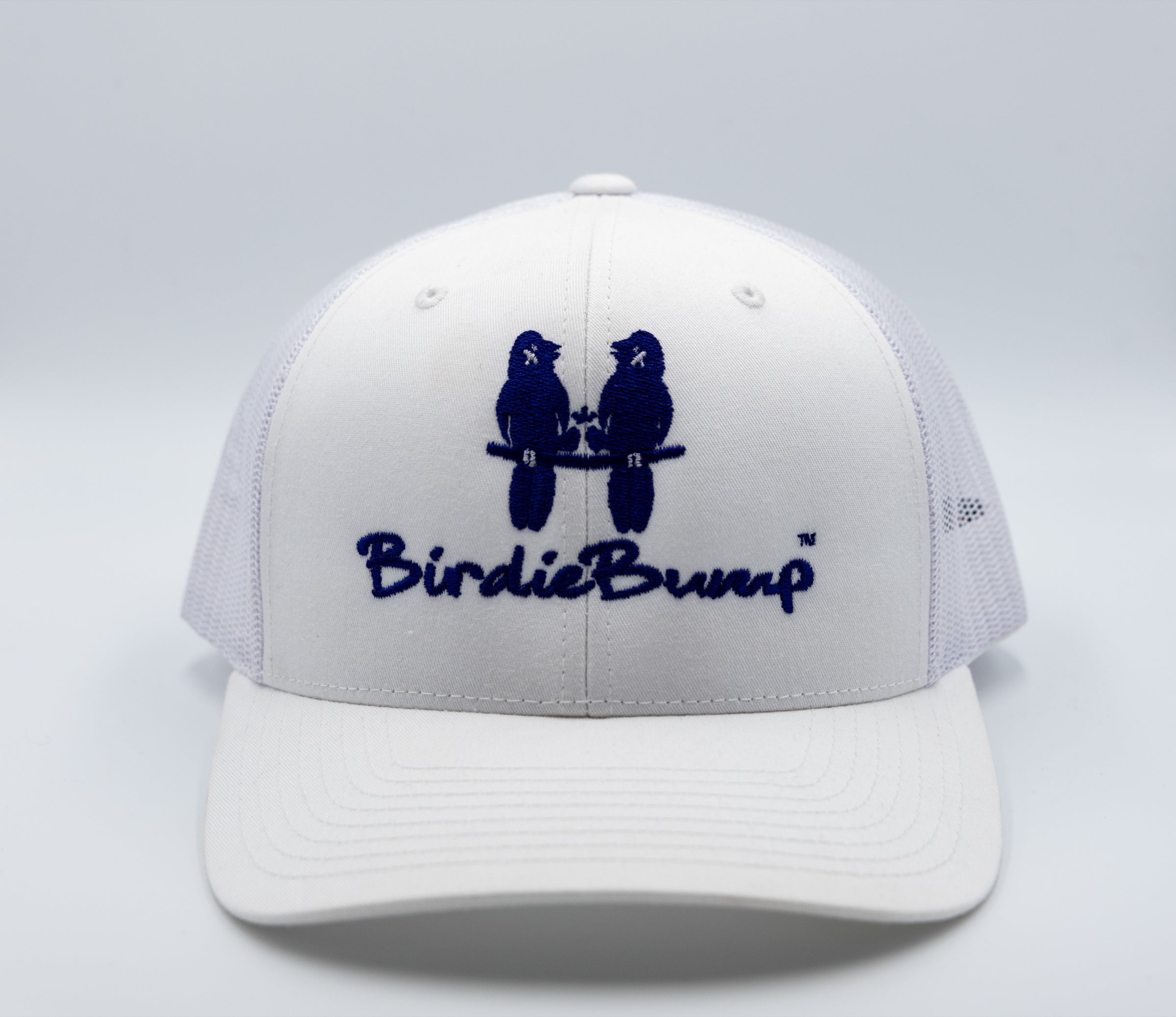Birdie Bump White on White Snapback Dark Purple Logo