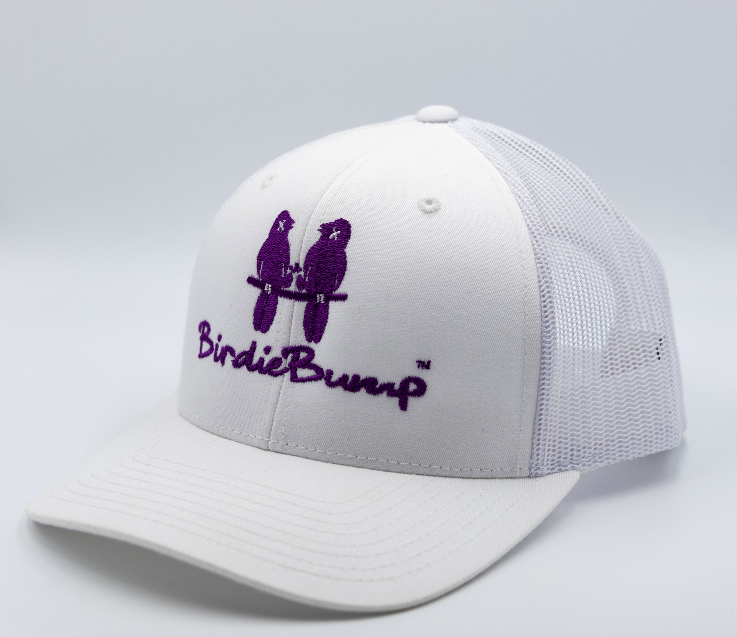 Birdie Bump White on White Snapback Light Purple Logo