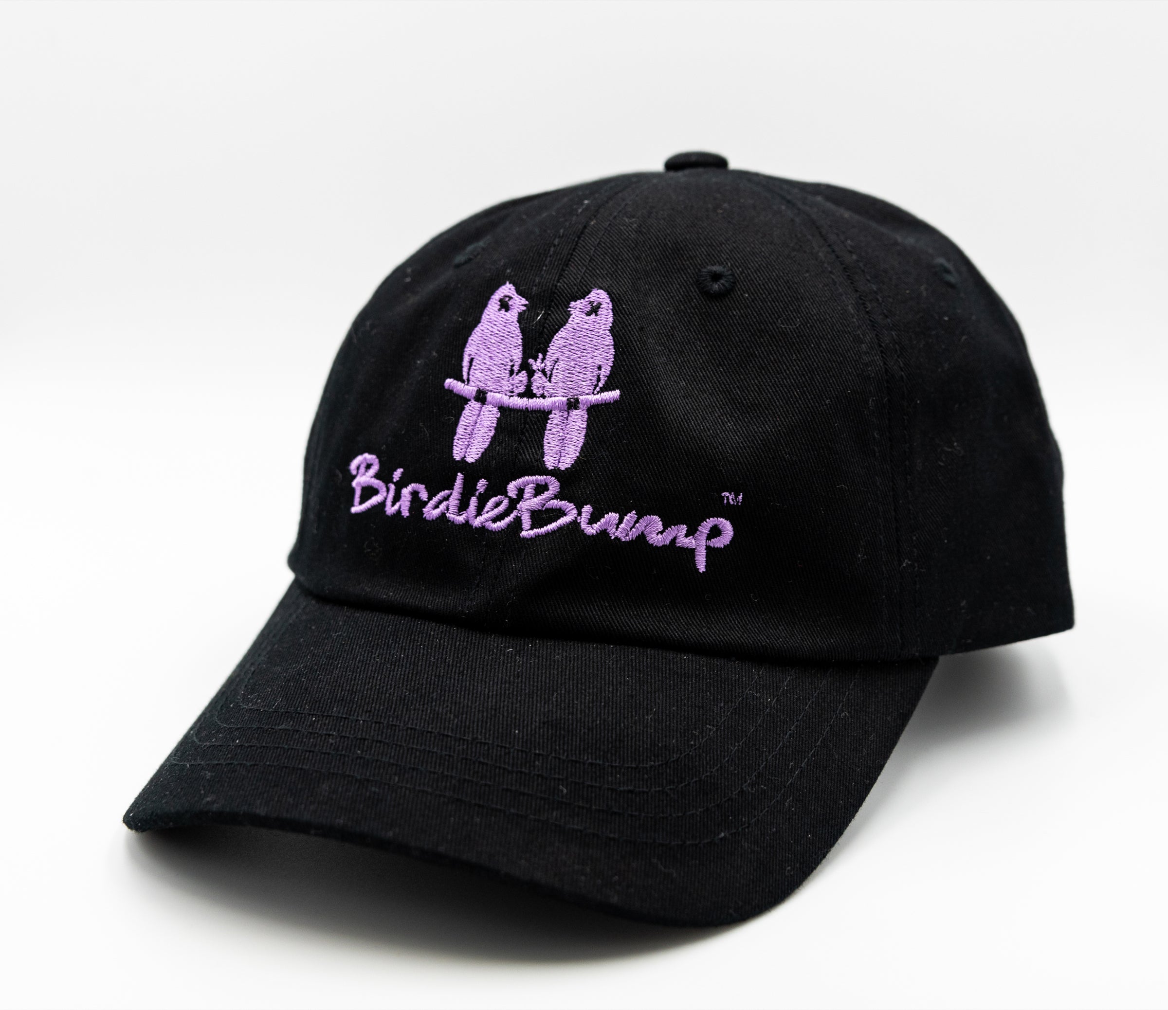 Birdie Bump Black on Black Dad Hat Purple Logo